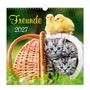 „Freunde 2027“ in gelber und weiße Schrift. Drei Kätzchen in einem Korb, oben sitzen zwei Küken.