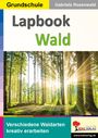 Gabriela Rosenwald: Lapbook Wald, Buch