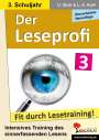 Ulrike Stolz: Der Leseprofi - Fit durch Lesetraining / Klasse 3, Buch