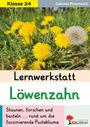 Texte: "Klasse 3/4", "Lernwerkstatt Löwenzahn", "Staunen, forschen und basteln ... rund um die faszinierende Pusteblume". Foto von Löwenzahn.