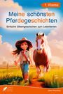 : Silbenbuch 1. Klasse - Meine schönsten Pferdegeschichten, Buch