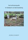 Georg Schwedt: Die Kurfürstenquelle im Stadtpark von Bad Godesberg, Buch