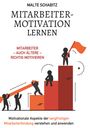 Malte Schabitz: Mitarbeitermotivation lernen, Buch