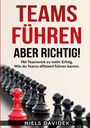 Niels Davidek: Teams führen - aber richtig!, Buch