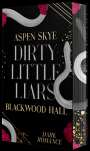 Skye Aspen: Dirty Little Liars, Buch