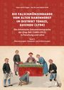 Hans-Ulrich Vogel: Die Falschmünzerbande vom Alten Rabenhorst im Distrikt Tongzi, Guizhou (1794), Buch