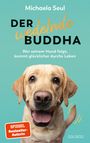 Michaela Seul: Der wedelnde Buddha, Buch