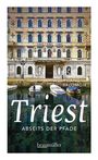 Wolfgang Salomon: Triest abseits der Pfade, Buch