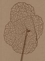Alois Schild: Alois Schild, Buch
