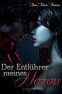 Anna Maria Altomare: Der Entführer meines Herzens, Buch