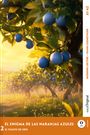 Elena Vallejo: El Enigma de las Naranjas Azules - Spanische Krimi-Lektüre A1-A2 (+ Audio-Online), Buch
