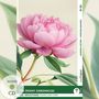 Mabel Kemp: The Peony Chronicles - Reflections: 10 Everyday Short Stories vol. 002 - B1-B2 (+ Audio-CD), Buch