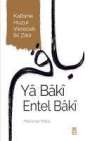 Mehmet Yildiz: Ya Baki Entel Baki, Buch