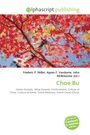 Choe Bu, Buch