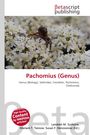Titel: Pachomius (Genus). Rote Schrift. Spinne auf weißen Blüten. Rotes Logo: "High Quality Content by WIKIPEDIA articles!".