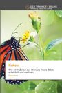 Diana Paulus: Kokon, Buch
