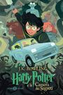 J. K. Rowling: Harry Potter e la camera dei segreti, Buch