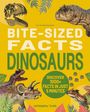 Cristina Banfi: Bite-Sized Facts: Dinosaurs, Buch