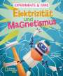 Mattia Crivellini: Elektrizität und Magnetismus, Buch