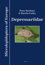 Peter Buchner: Depressariidae, Buch