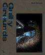 Steffi Reimers: Guilty Grounds, Buch