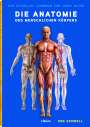 Ken Ashwell: Die Anatomie des Menschlichen Körpers, Buch