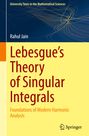 "Lebesgue's Theory of Singular Integrals" von Rahul Jain, mit abstrakten Linien auf farbigem Hintergrund. Springer-Logo.