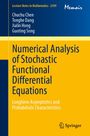 "Numerical Analysis of Stochastic Functional Differential Equations. Longtime Asymptotics and Probabilistic Characteristics."