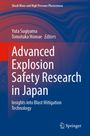"Advanced Explosion Safety Research in Japan: Insights into Blast Mitigation Technology". Blaue Wellenmuster, Springer-Logo.