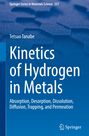 „Kinetics of Hydrogen in Metals“ von Tetsuo Tanabe; blaues Cover mit abstrakter hexagonaler Textur im Hintergrund.