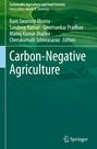 "Carbon-Negative Agriculture", Herausgeber: Ram Swaroop Meena und andere. Grüner Hintergrund mit ländlicher Szene.