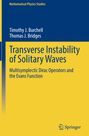 Titel: Transverse Instability of Solitary Waves. Autoren: Timothy J. Burchell, Thomas J. Bridges. Logo unten rechts.