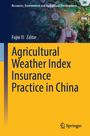 "Agricultural Weather Index Insurance Practice in China". Hintergrund mit Hand, Glühbirne, Blättern und Symbolen. Springer-Logo.