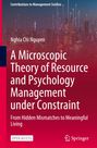 Titel: A Microscopic Theory of Resource and Psychology Management under Constraint. Hintergrund zeigt Skyline mit leuchtenden Linien.