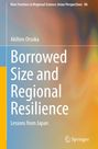 "Borrowed Size and Regional Resilience: Lessons from Japan" von Akihiro Otsuka, abstrakte Farbverläufe, Springer-Logo.