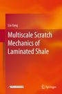„Multiscale Scratch Mechanics of Laminated Shale“ von Liu Yang. Orange Hintergrund, Springer-Logo unten rechts.