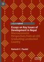 Essays on Development in Nepal, ökonomische Perspektiven. Roter Hintergrund, beige Muster, Palgrave Pivot Logo.