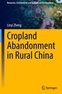 Linyi Zheng: Cropland Abandonment in Rural China, Buch