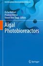 Titel: Algal Photobioreactors. Autoren: Richa Kothari, Pradeep Verma, Vineet Veer Tyagi. Abstraktes blaues Muster.
