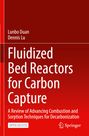 Titel: "Fluidized Bed Reactors for Carbon Capture". Autoren: Lunbo Duan, Dennis Lu. Rot-weißer Hintergrund, Springer-Logo.