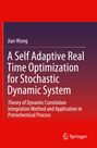 Titel: "A Self Adaptive Real Time Optimization for Stochastic Dynamic System". Autor: Jian Wang. Unten Springer-Logo.