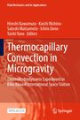 Thermocapillary Convection in Microgravity, Buch