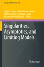 "Singularities, Asymptotics, and Limiting Models" von Biagio Cassano et al., Springer INdAM Series 64, Hintergrund in Gelb und Dunkelgrau.