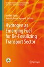 Titel: "Hydrogen as Emerging Fuel for De-Fossilizing Transport Sector" vor einem orange-roten Hintergrund.