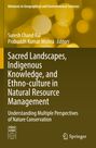 Advances in Geographical and Environmental Sciences. Buchcover: Braun mit gelben Lichtkreisen, Springer-Logo unten.