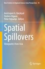 "Spatial Spillovers: Viewpoints from Asia". Gelb-blaues abstraktes Design, Springer-Logo unten rechts.