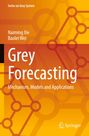 Text: "Grey Forecasting: Mechanism, Models and Applications". Orange Hintergrund mit gelben und roten geometrischen Mustern.