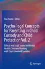 Titel: "Psycho-legal Concepts for Parenting in Child Custody and Child Protection Vol. 2". Abstrakter, bunter Hintergrund.