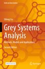 "Grey Systems Analysis: Methods, Models and Applications, Second Edition, Sifeng Liu. Orange Hintergrund, Netzwerk-Muster."
