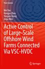 Text: "Power Systems. Active Control of Large-Scale Offshore Wind Farms Connected Via VSC-HVDC." Autorenliste: Vier Namen. Hintergrund: Abstrakte Wirbel in Blau und Rot.